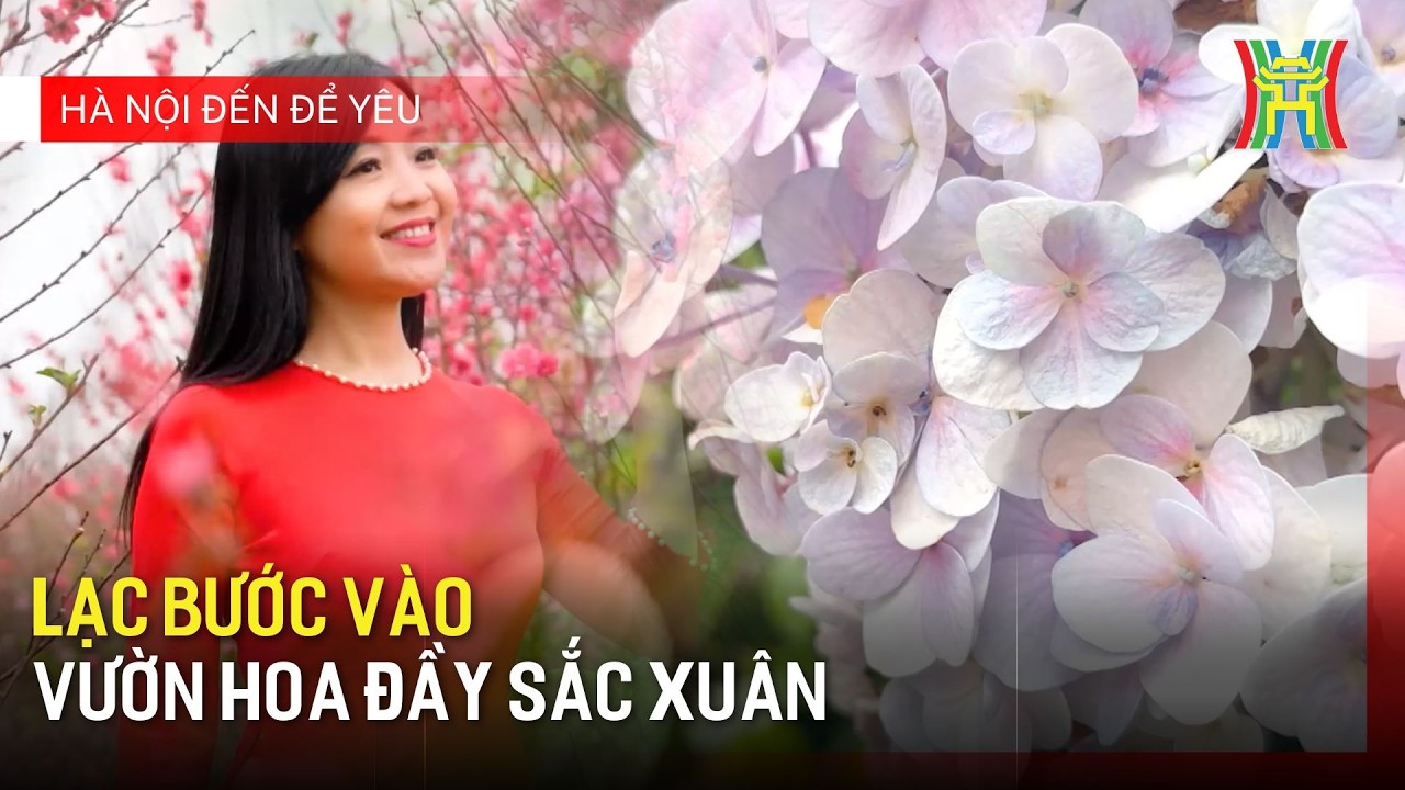 Lạc bước vào vườn hoa đầy sắc xuân | Hà Nội đến để yêu