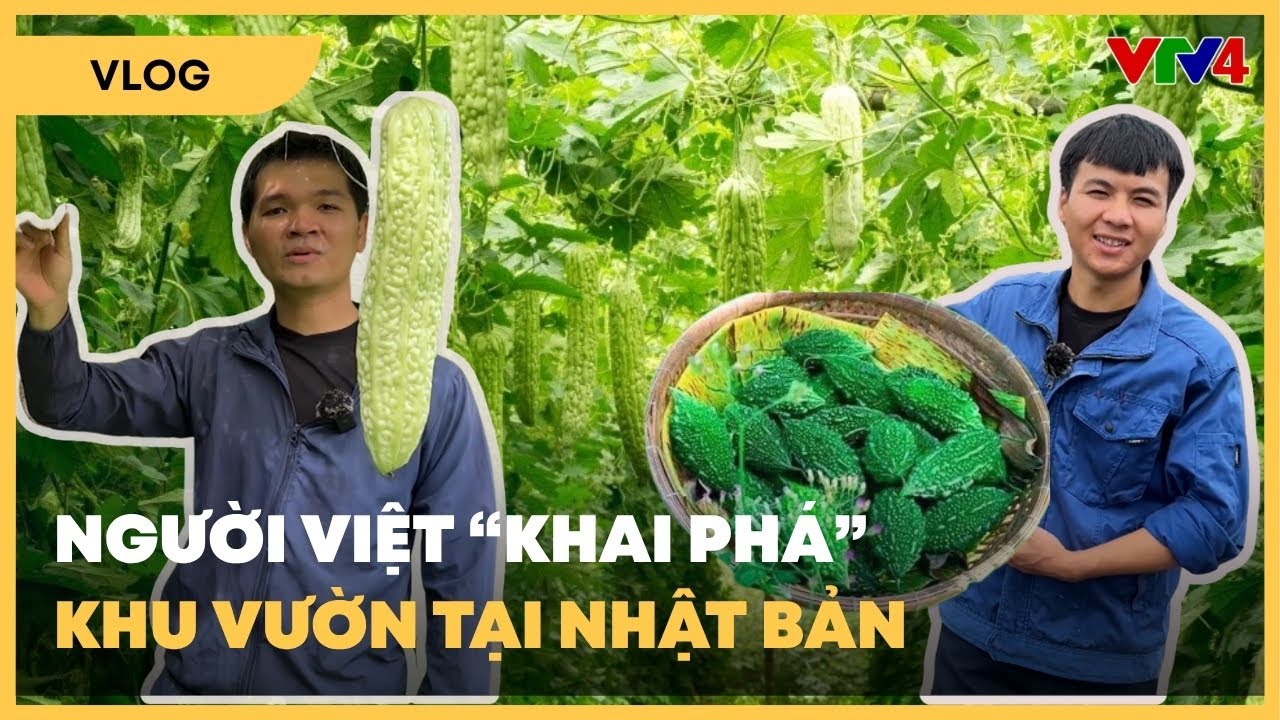 Khu vườn đầy hoa trái của 2 chàng trai Việt tại Nhật Bản | VTV4