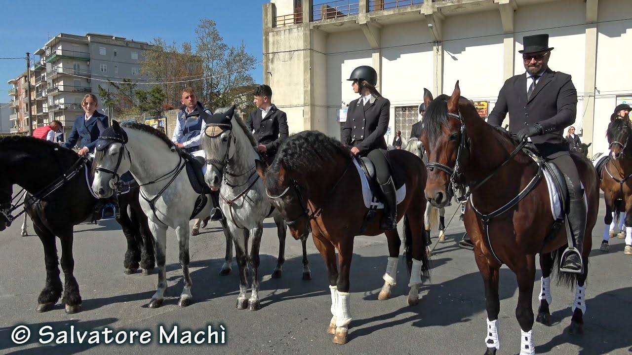 Caltagirone (CT) - Sfilata e spettacolo equestre 2023