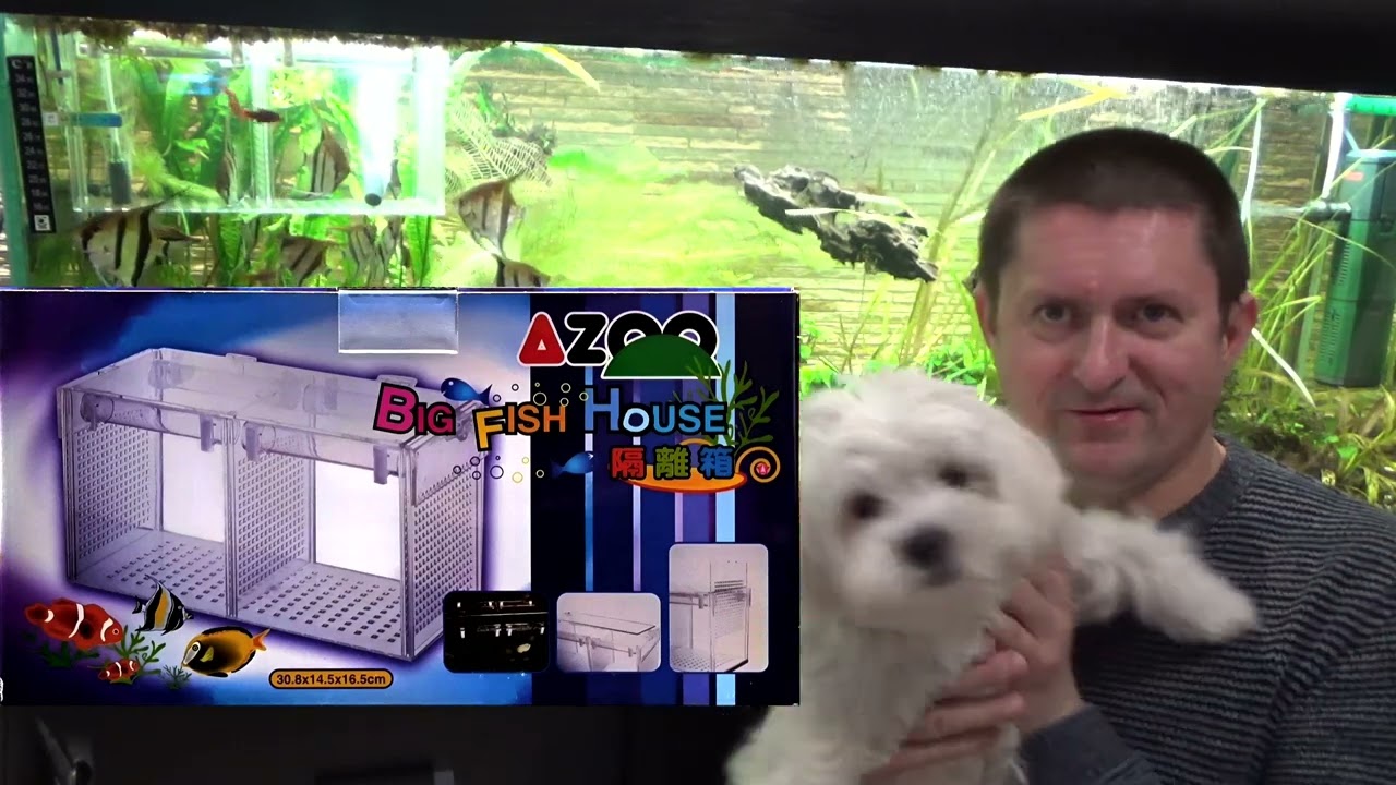 98 AZOO Big Fish House  Duży inkubator dla ryb Akwartom 450L