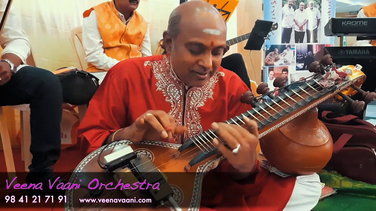 Vaan Nila Nila song | LIVE Instrumental cover | team Veena Vaani Orchestra