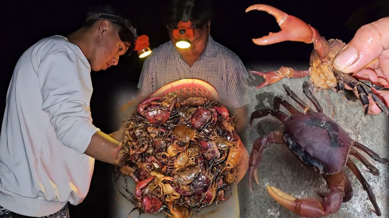 Kab pum coob heev li os