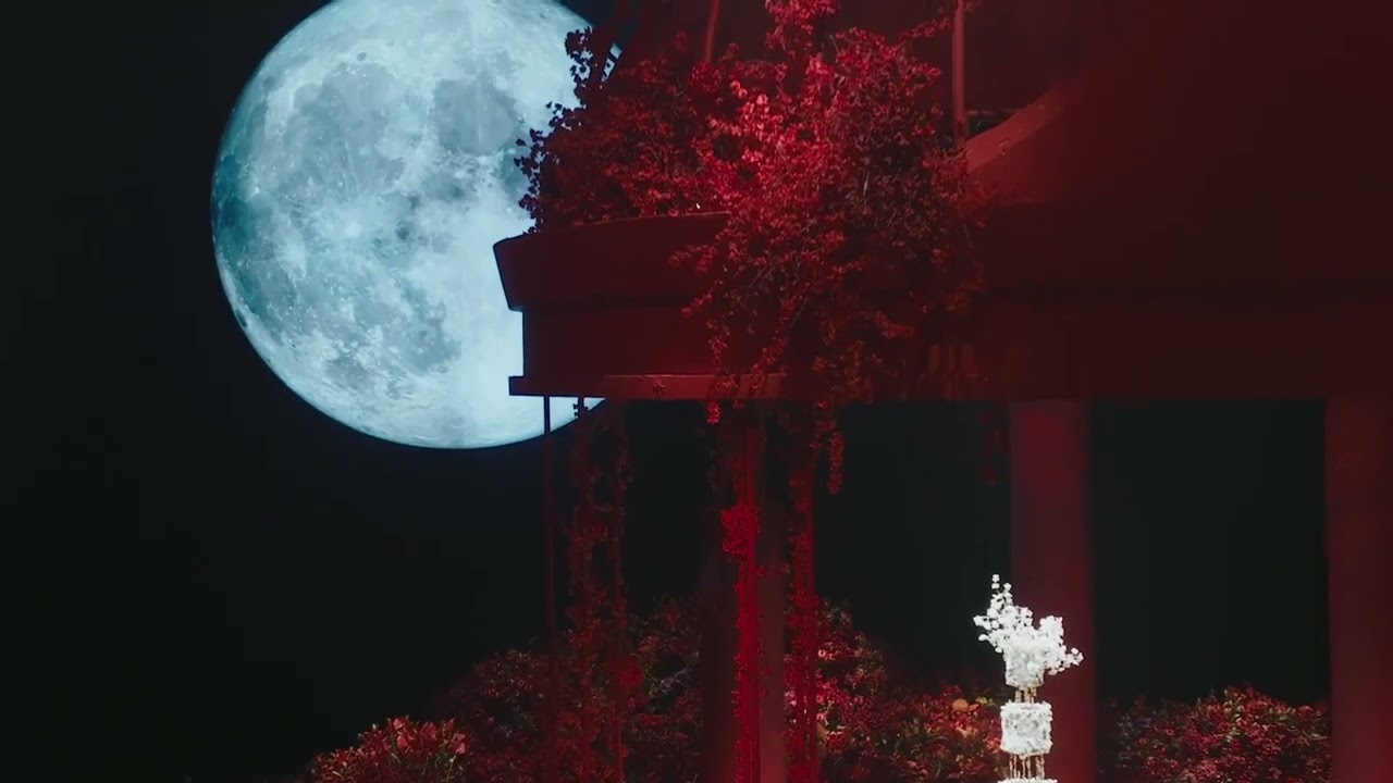 زفة الحلم الخيالي  - زفات محمد