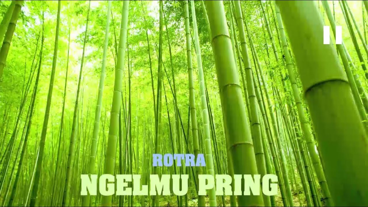 Rotra - Ngelmu Pring [Makna+Lirik+Terjemahan]
