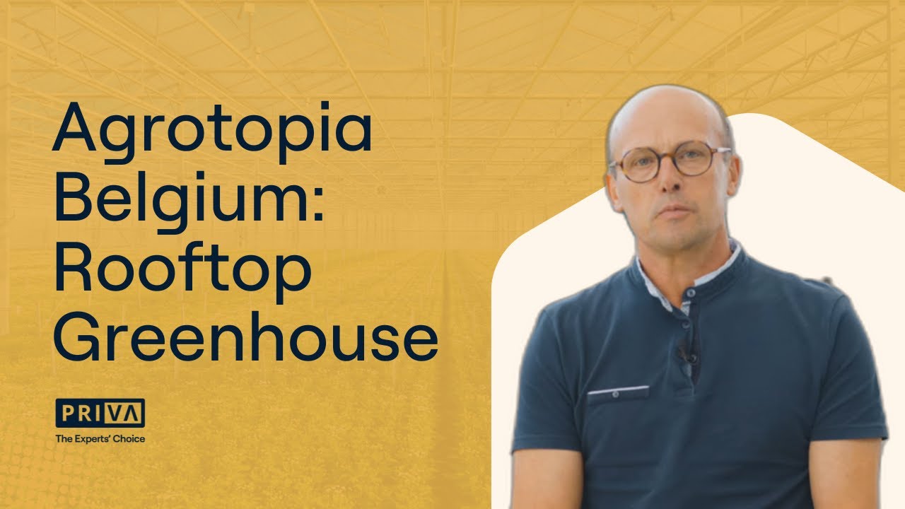 Agrotopia Belgium: Rooftop Greenhouse & Smart Climate Control by Priva
