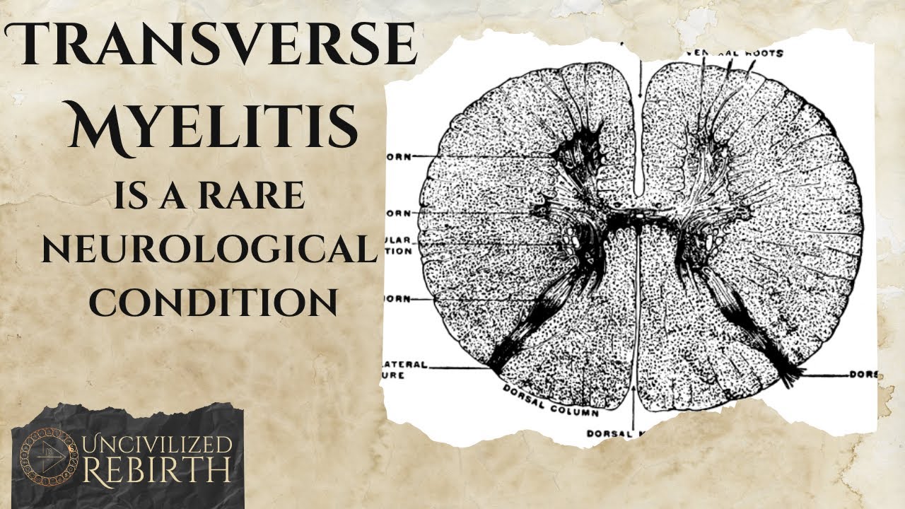 Transverse Myelitis, a story of being broken to healed.