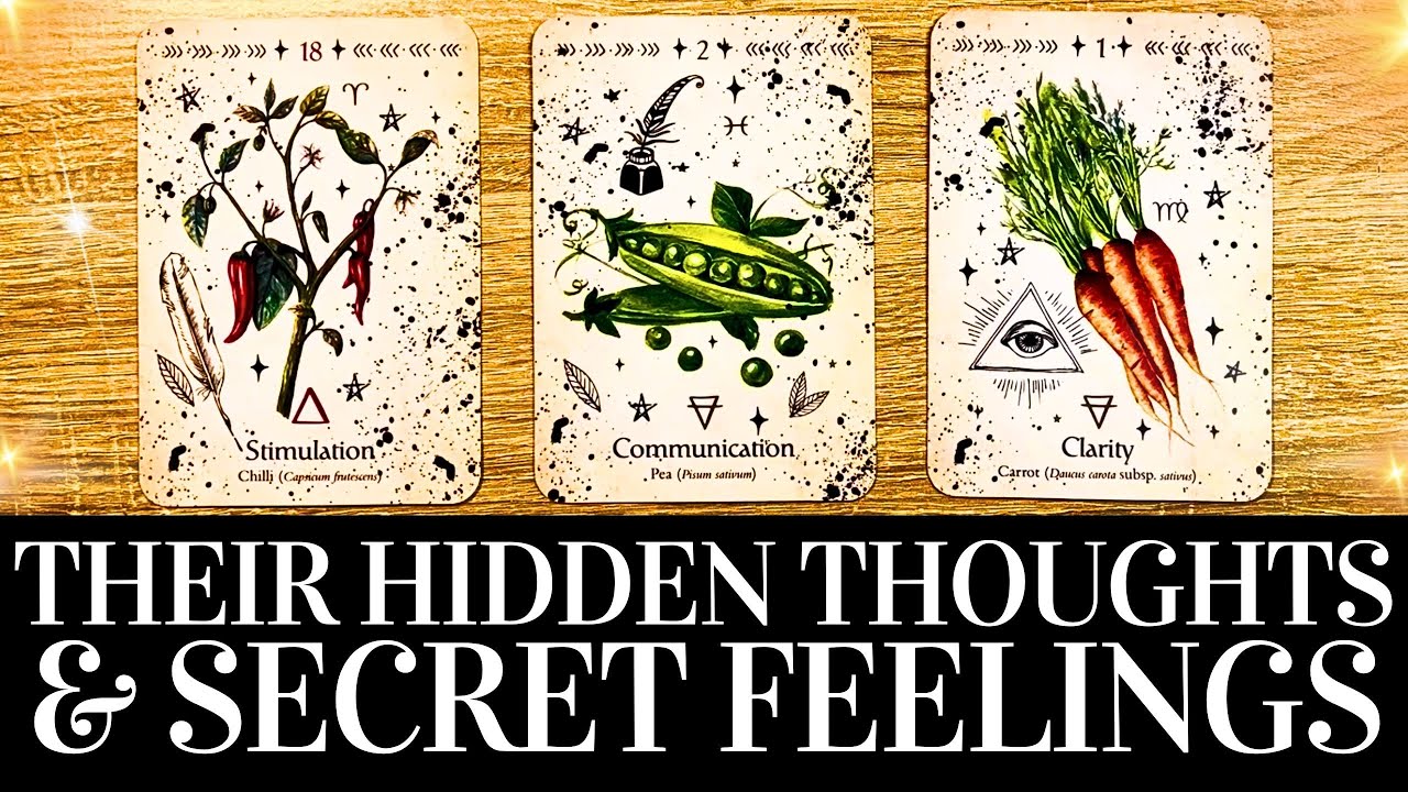 🔥🔮 THEIR SECRET FEELINGS & HIDDEN THOUGHTS ABOUT YOU 🔮🔥 PICK A CARD Love Tarot Reading Timeless