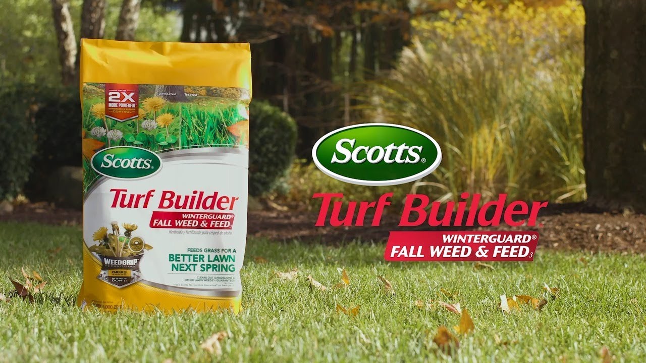 How Kill Lawn Weeds This Fall with Scotts&reg; Turf Builder&reg; WinterGuard&reg; Fall Weed & Feed₃