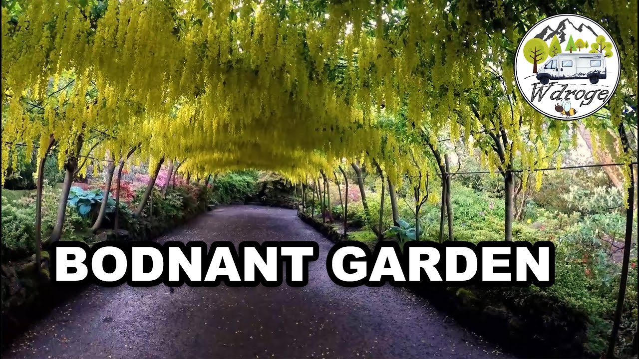 Walia | Przepiękny Bodnant Garden | Vlog 180