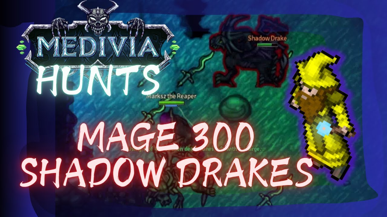 MAGE 300 SOLO GOES SHADOW DRAKES - MEDIVIA ONLINE