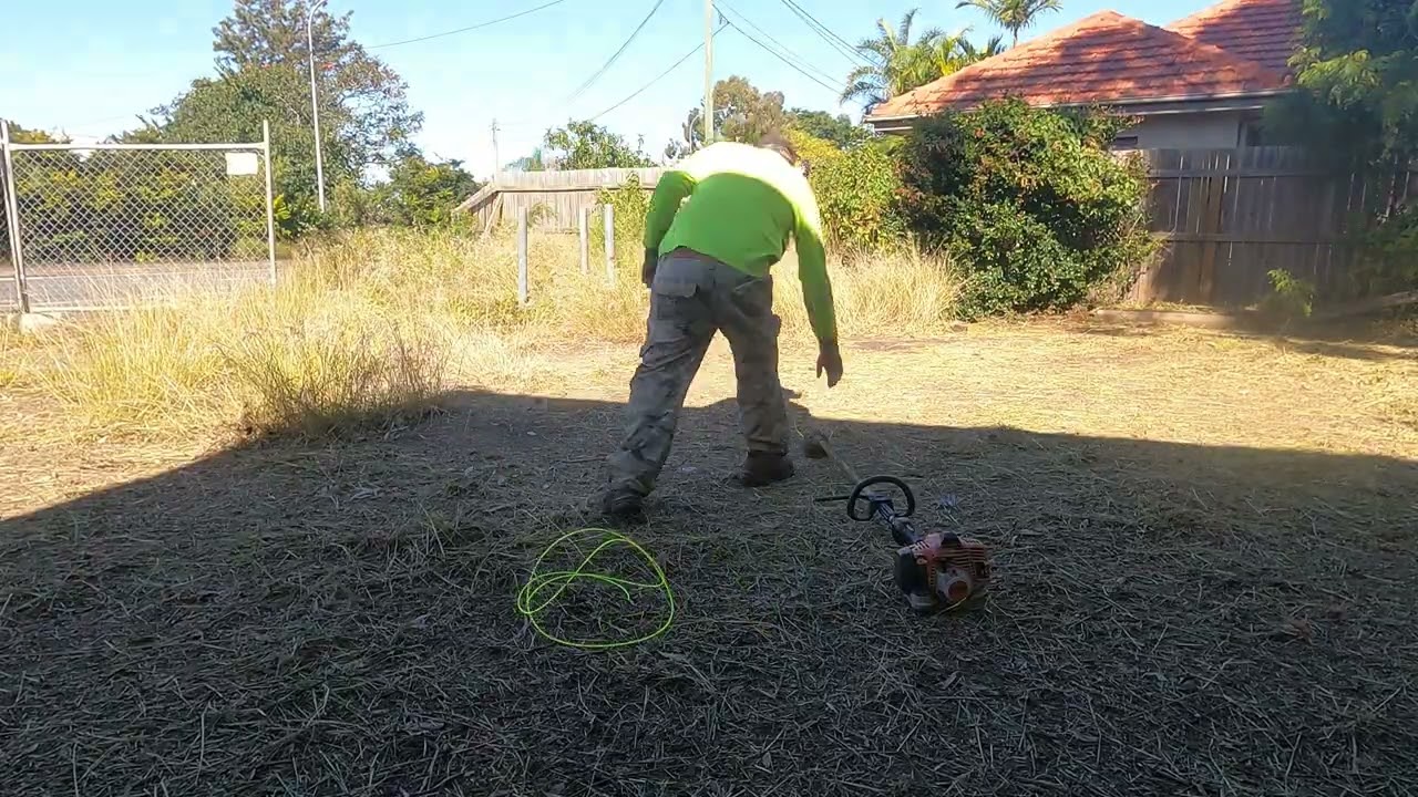 This one was satisfying to clean up.. but I wasn’t alone!