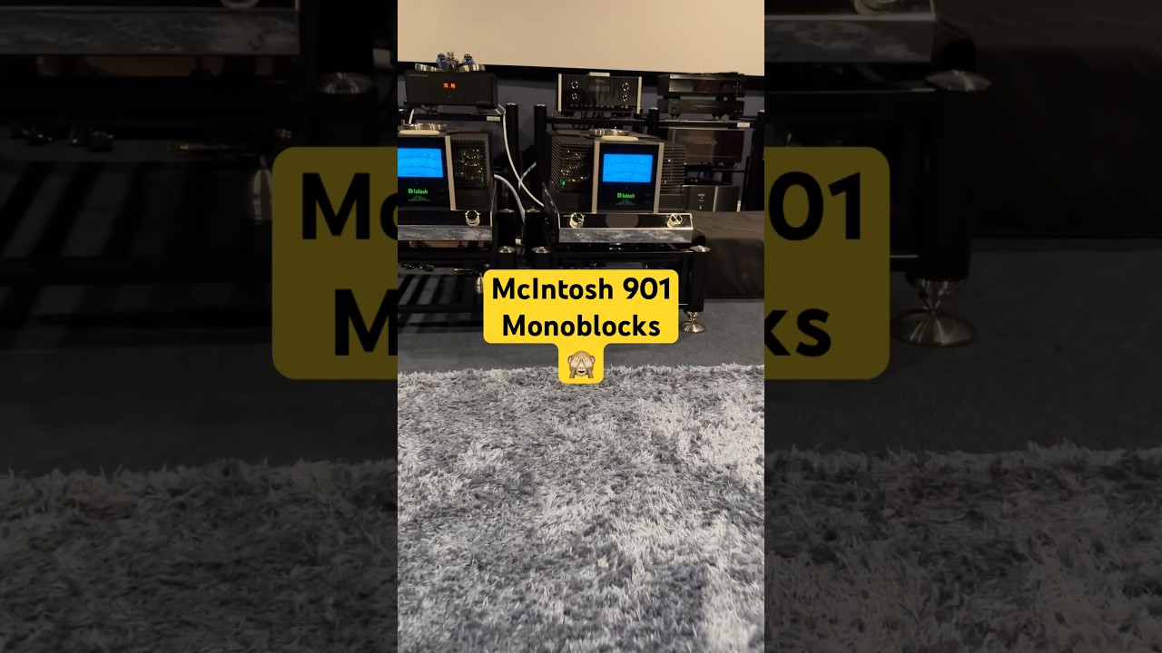 McIntosh MC901 Monoblocks At Work ! #mcintosh #audiophile #highendaudio