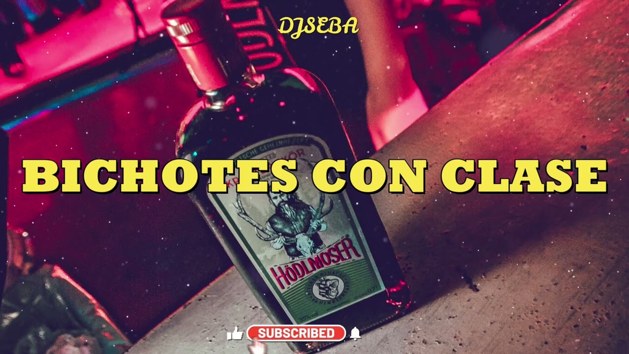 Bichotes con clase (Remix) - Dj Seba @brray