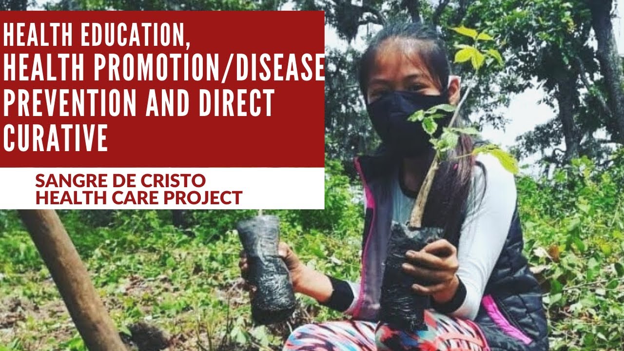 health education, health promotion/disease prevention and direct curative