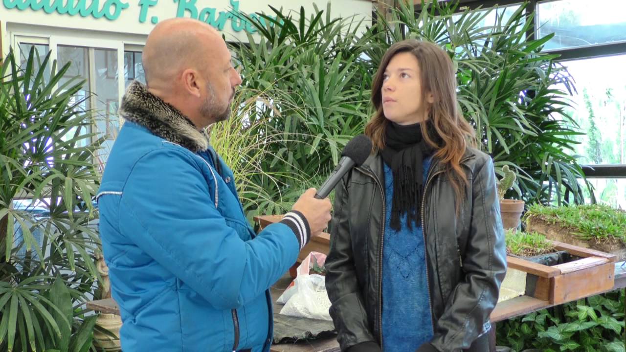 Las ventajas de implementar techos verdes en arquitectura