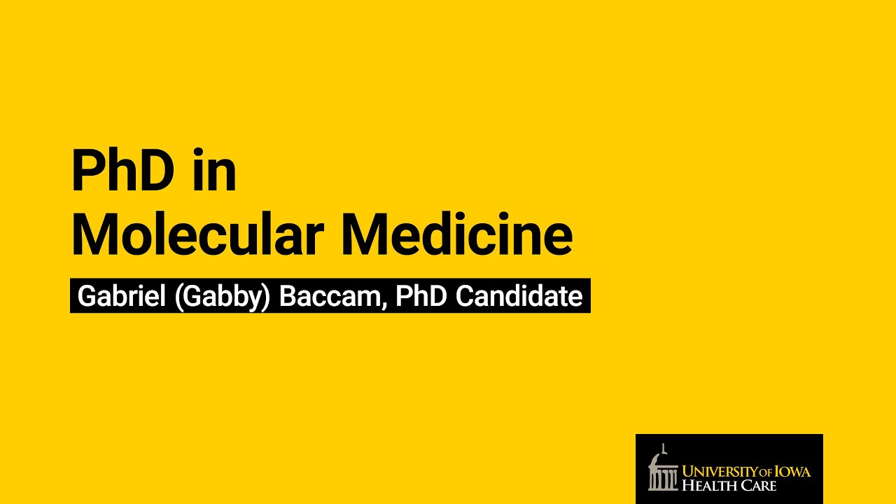 PhD in Molecular Medicine