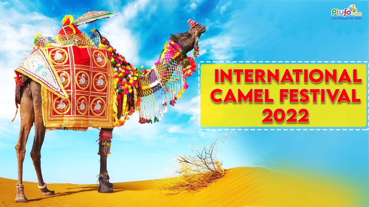 International Camel Festival 2022 || All you need to know about Bikaner Camel Festival
