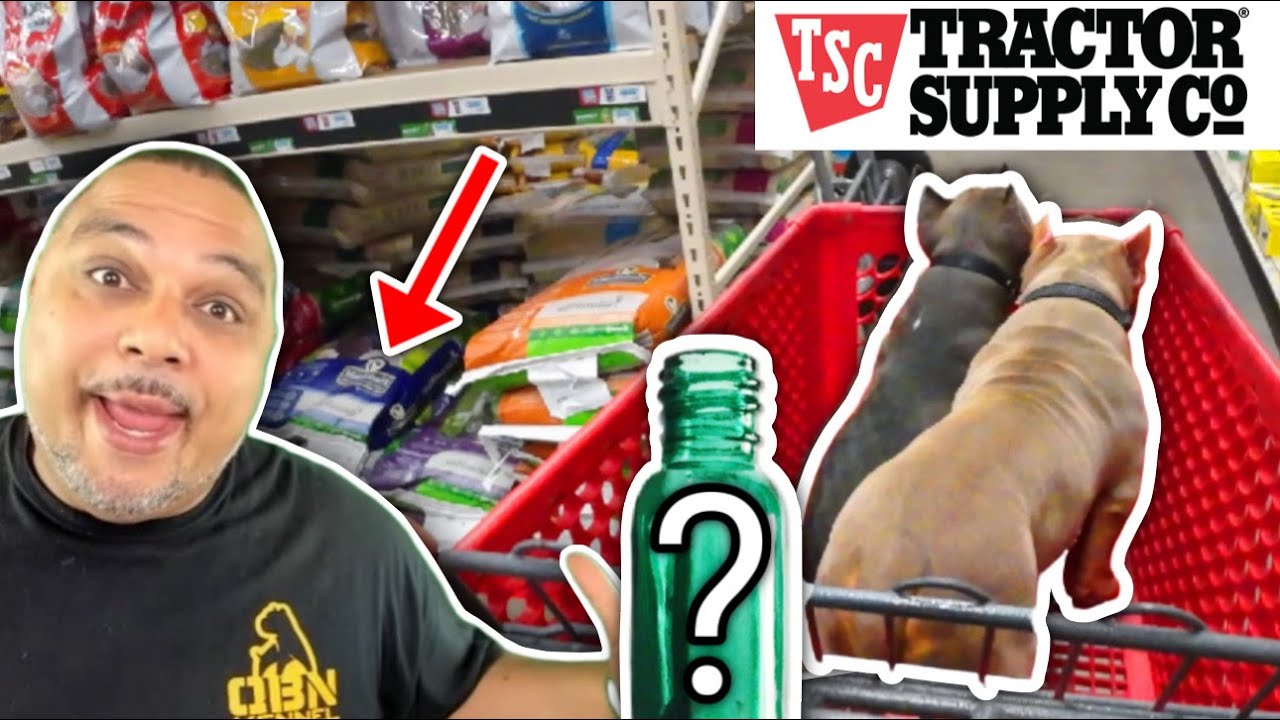 Dog Owners Are Going Crazy Over These 5 Products! | American Bully