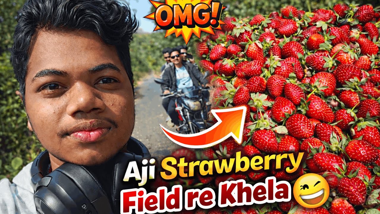 Aji Strawberry Field re Khela 🍓😆 | Friends Masti | Tushar Behera Vlog