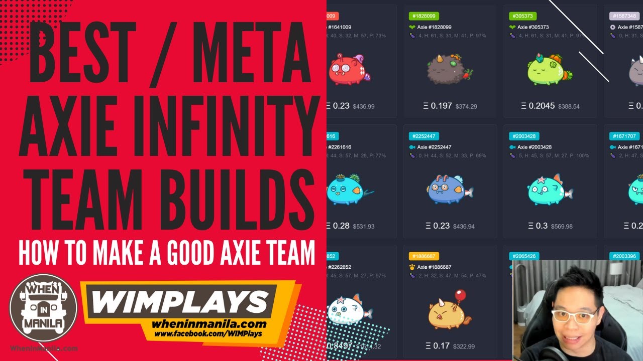 Best Axie Infinity Team Meta: How to Build Your AxieInfinity Team / What Axies to Buy or Get