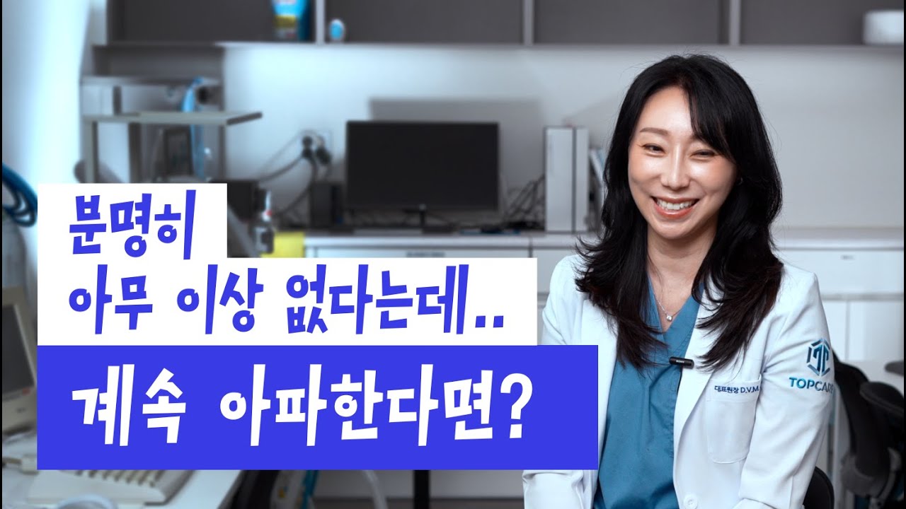 아무 이상 없다는데.. 왜 이렇게 아파할까? | 탑케어이야기