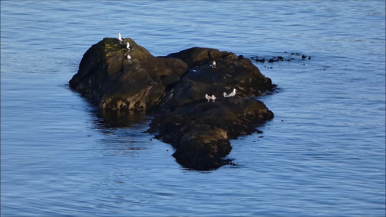 Utsyn over austevoll fra en haug på Kalsøy