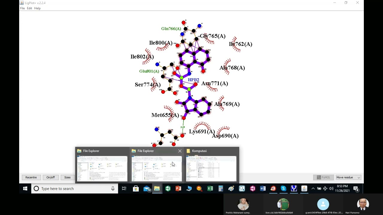 202111 5 d  Visualisasi dengan ligplus dan PyMol  D Antikolesterol Dr apt  Hari Purnomo, M S