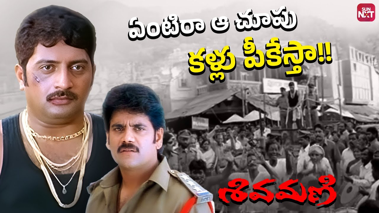 Nagarjuna’s Power Warning to Prakash Raj in Vizag 🔥| Sivamani Epic Scene | Sun NXT Telugu