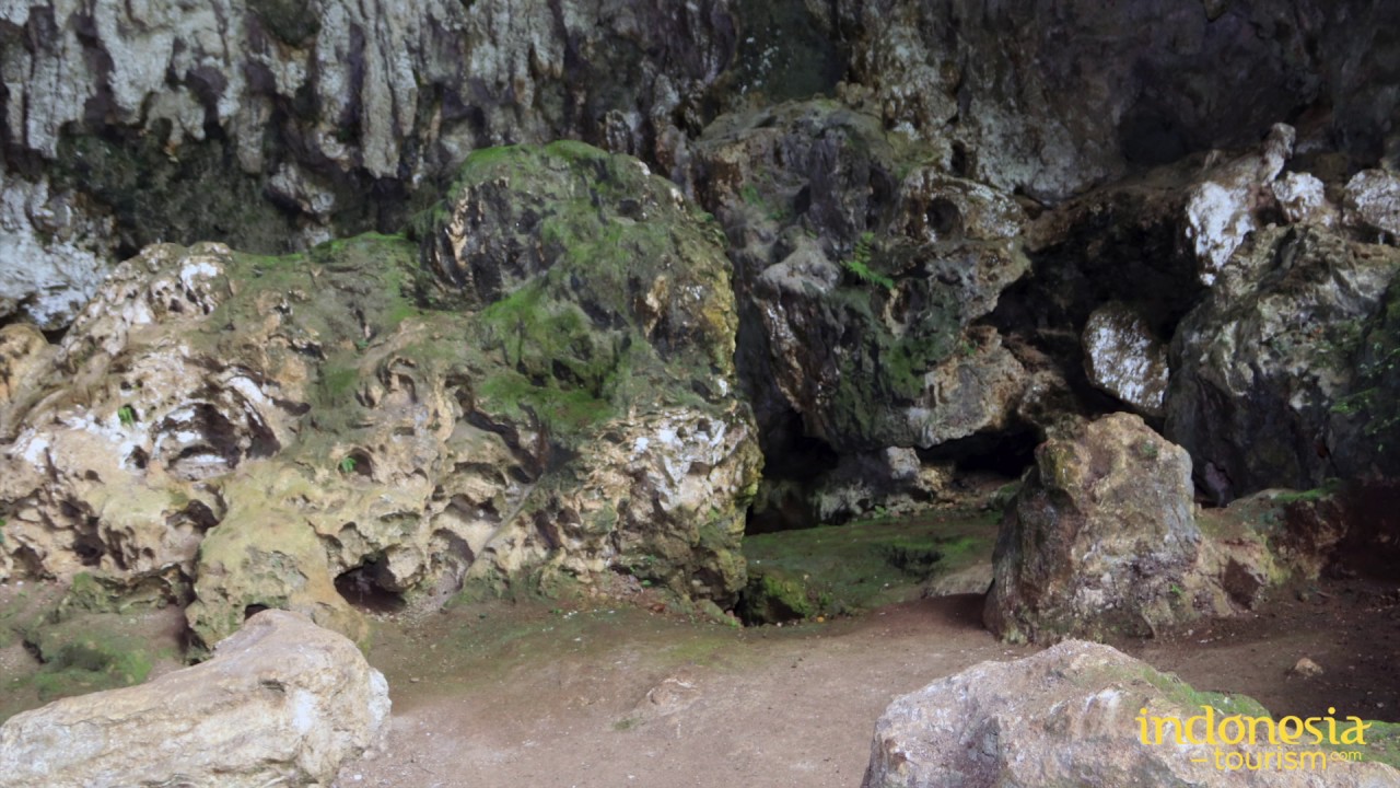 The Heritage Cave of Liang Bua Known As Hobbit Flores Home