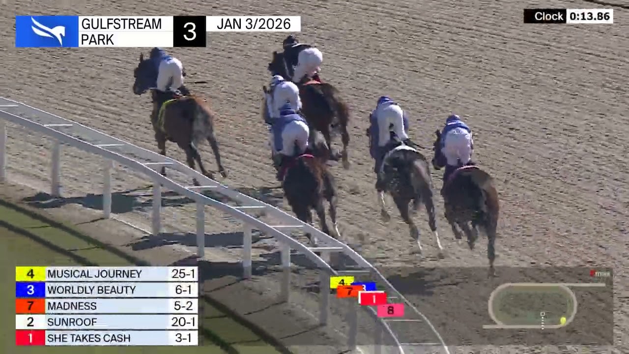 Повтор трансляции из Gulfstream Park | 3 января 2026 г.