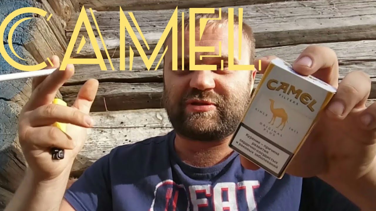 Обзор на Camel (Беларусь)