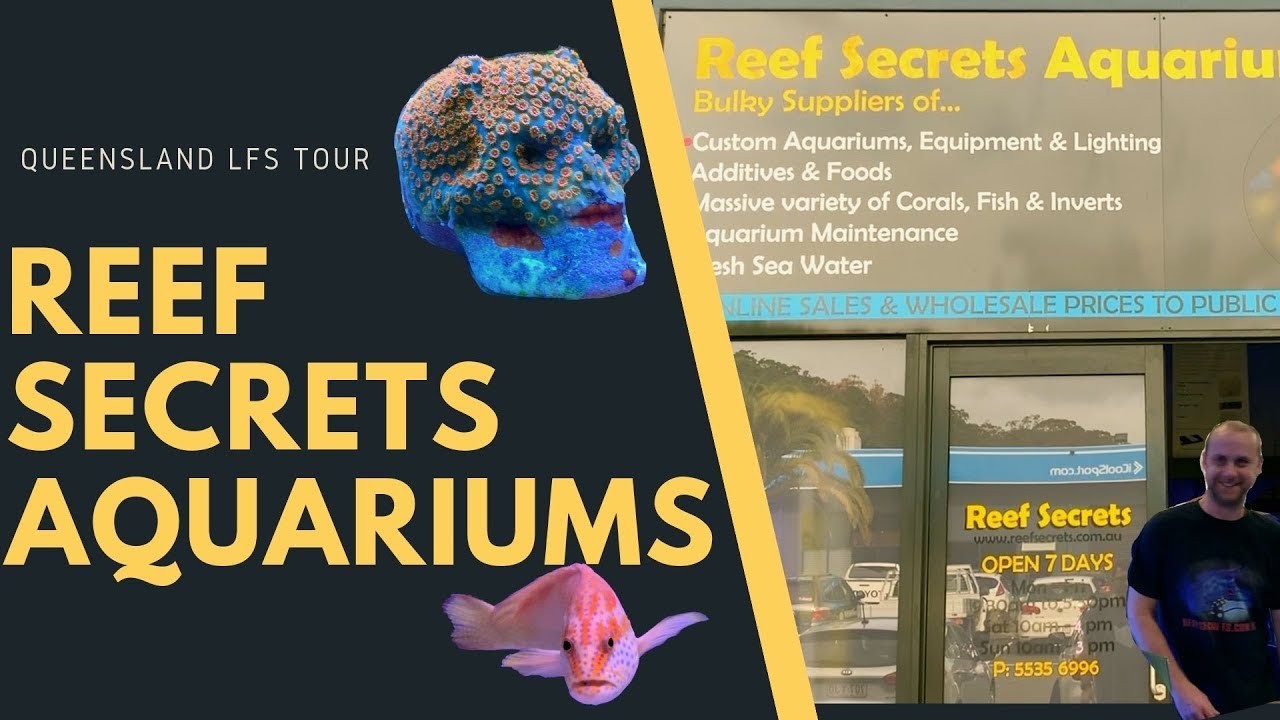 QLD LFS Tour - Reef Secrets