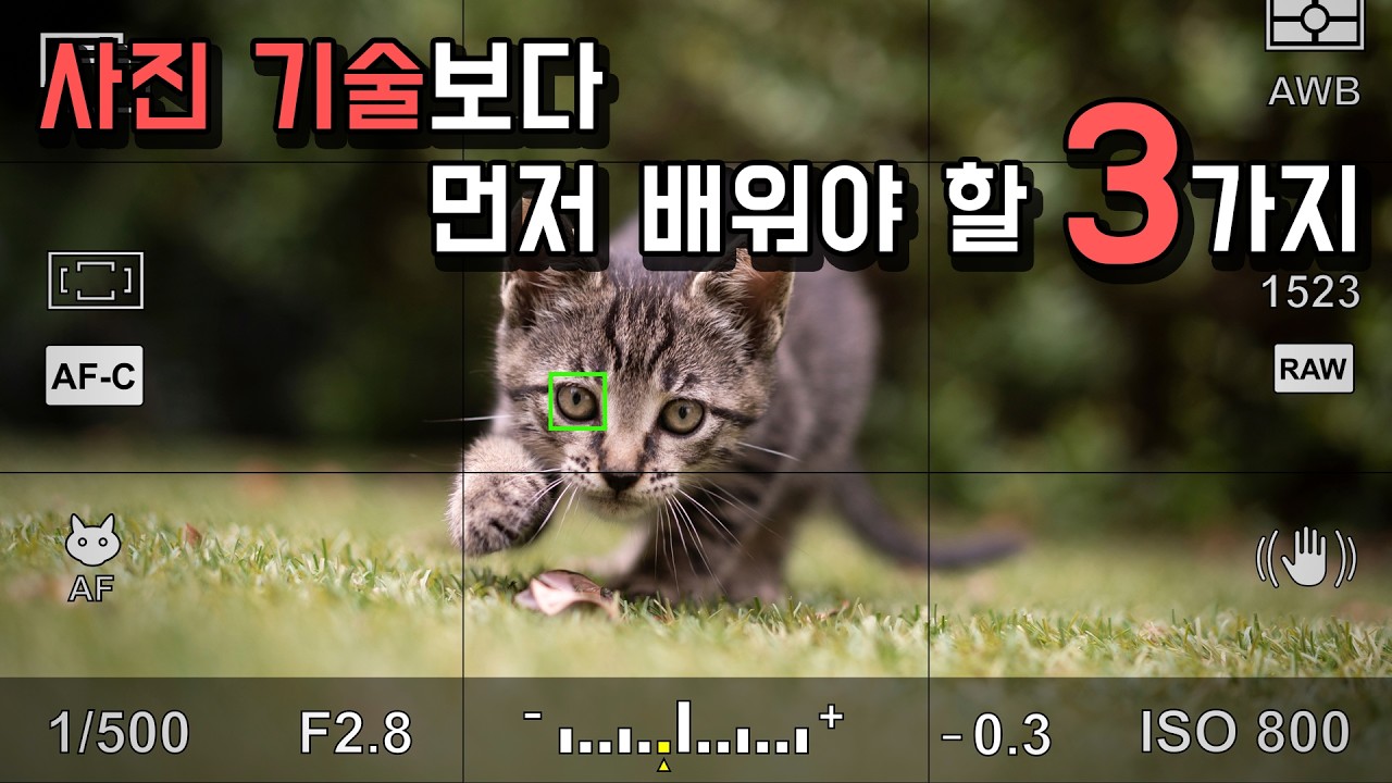 12년 넘게 사진 강의하면서 알게 된 필수 사진연습방법 3가지 (초보자용! 고수 시청 금지!)