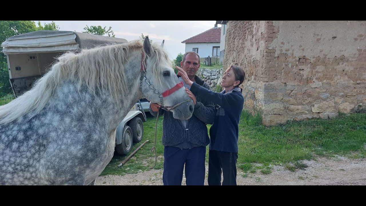 RANČ MEHMEDOVIĆ POKLANJA KONJA - PORODICI VARUPA IZ SELA BUKVE (VITEZ)