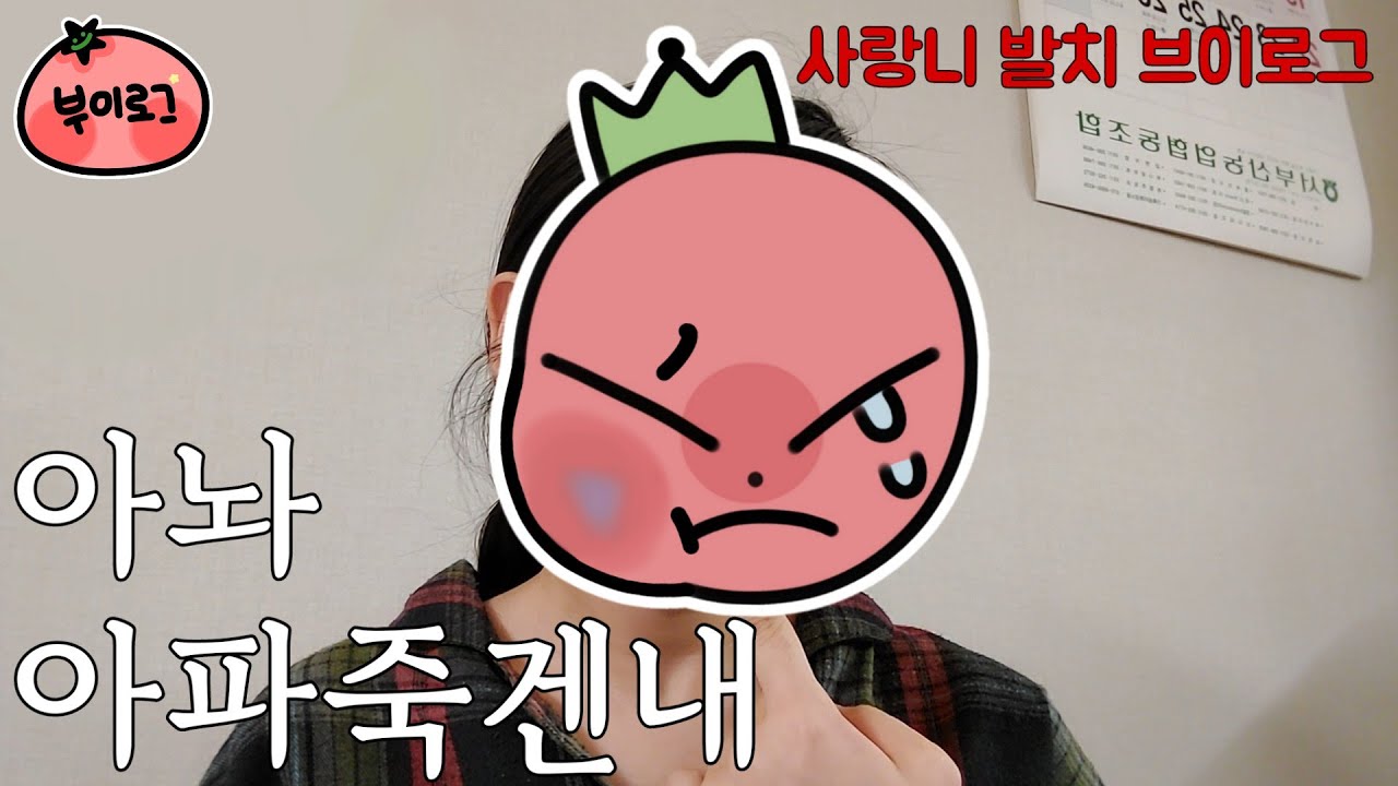 [브이로그] 사랑니 아니고 암살니