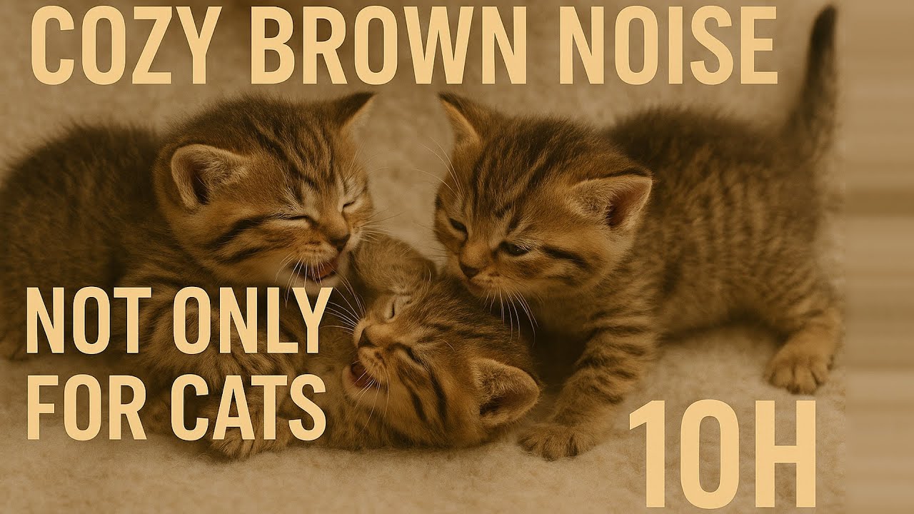Brown Noise | Not Only For Cats | 10 hours