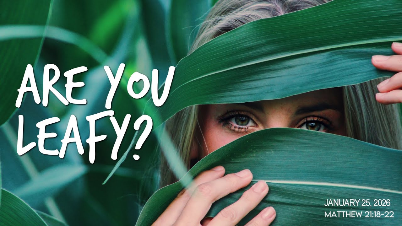 Are You Leafy?