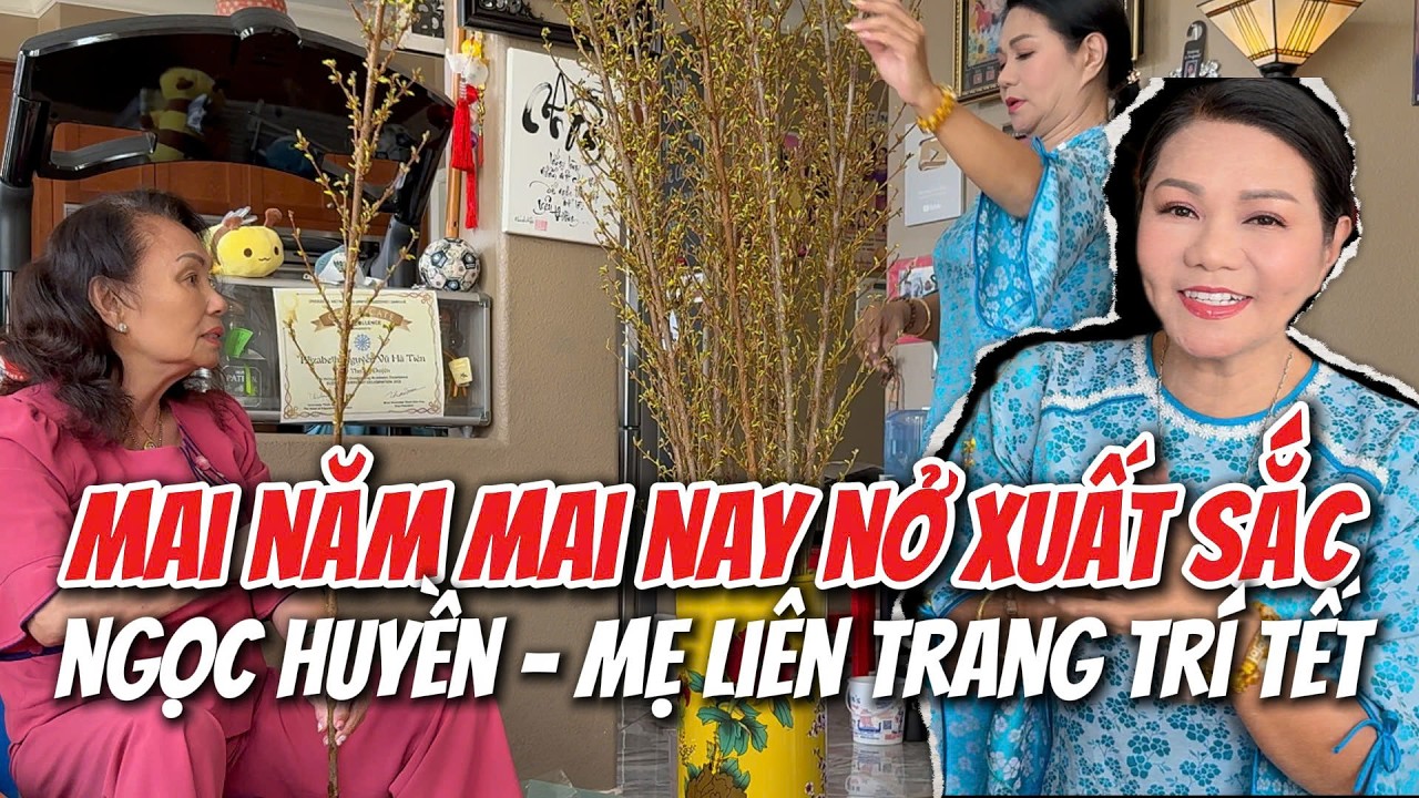 Mai Vàng Nở 