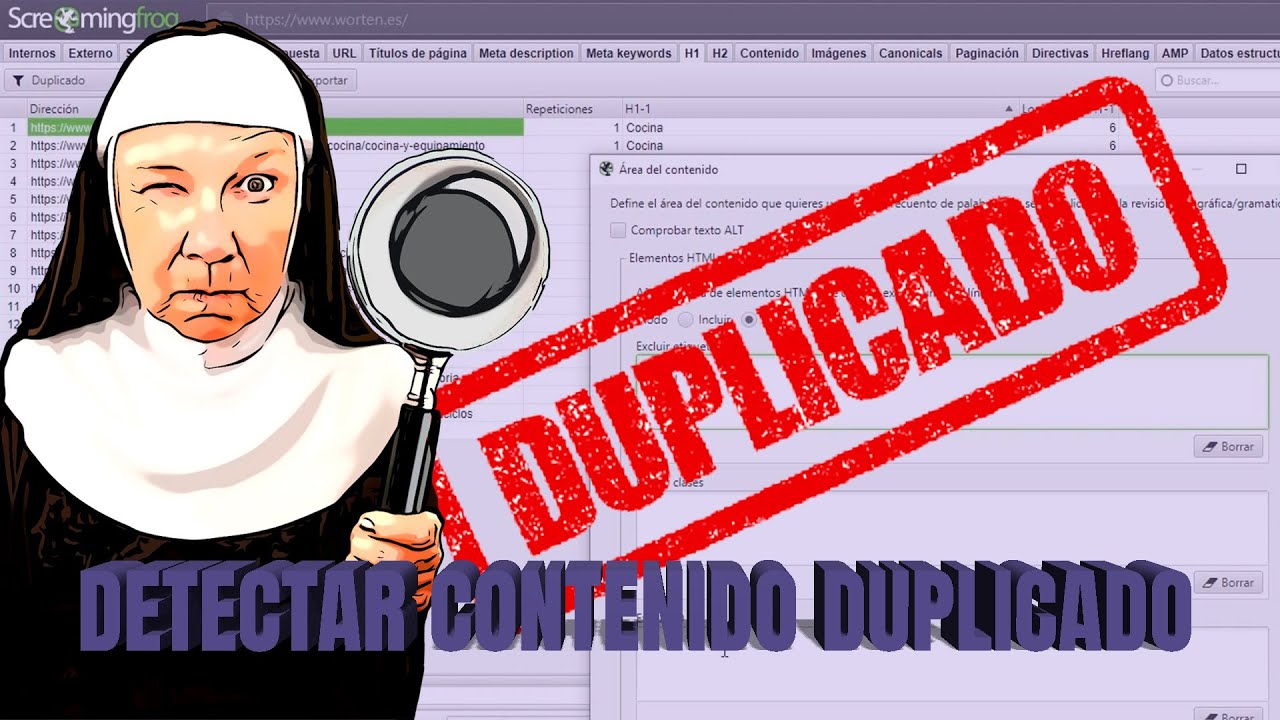 🕵 Cómo detectar el CONTENIDO DUPLICADO interno y externo en tu web