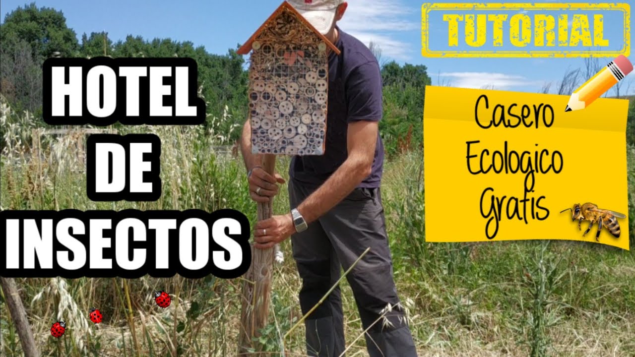 🐞HOTEL de INSECTOS🐞 en El Huerto ECOLÓGICO +20% Aumentar COSECHA 🐝 Caja de insectos o Refugio