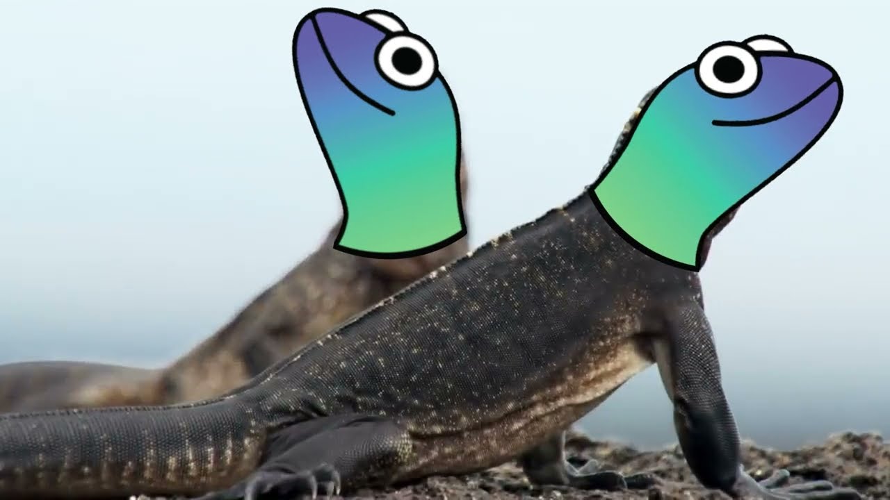 Who Are The Ethlizards