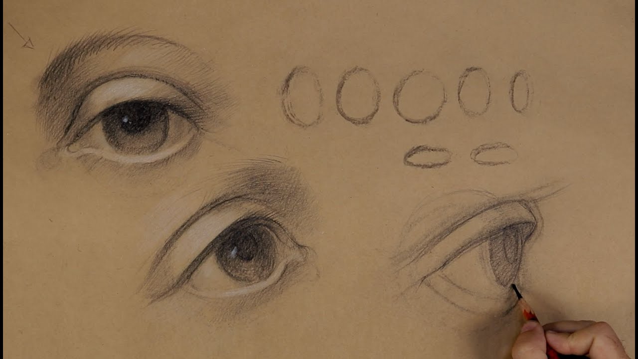 How to draw an eye in frontal view