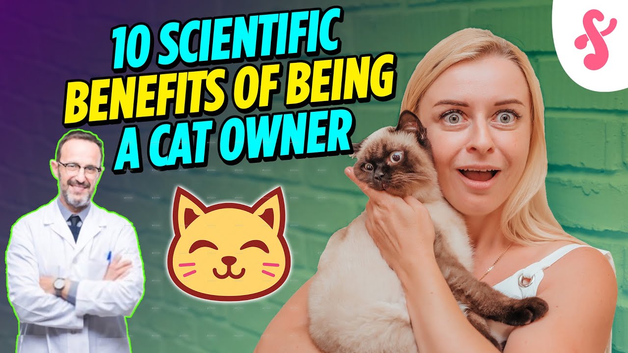 💊 Top 10 Scientific Benefits of Being a Cat Owner | Furry Feline Facts⚕️