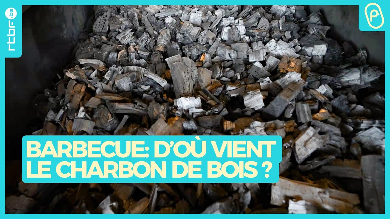 Barbecue : d’où vient votre charbon de bois ? - On n'est pas des Pigeons