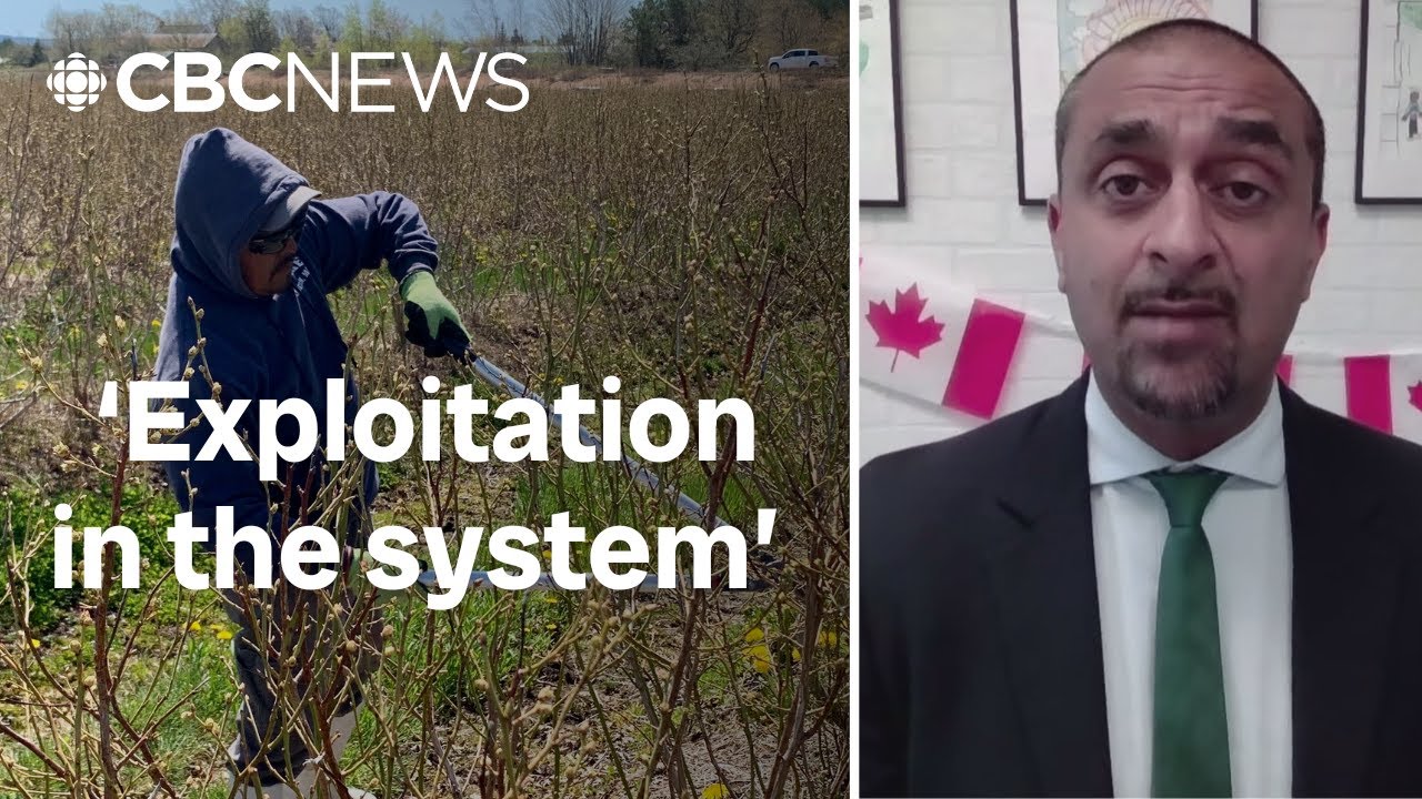 Temporary foreign worker program is being exploited, says B.C. Jobs Minister Ravi Kahlon