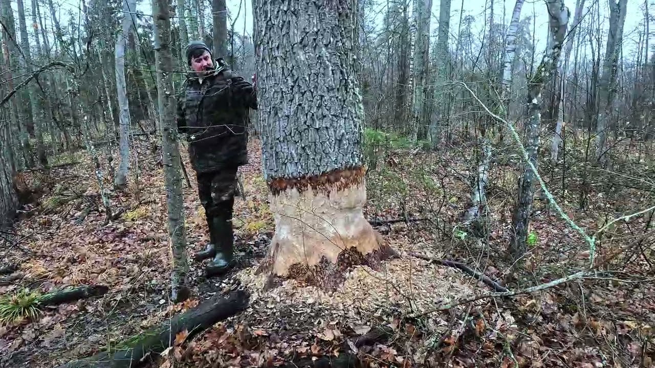 р.Рутка. Спиннинг.