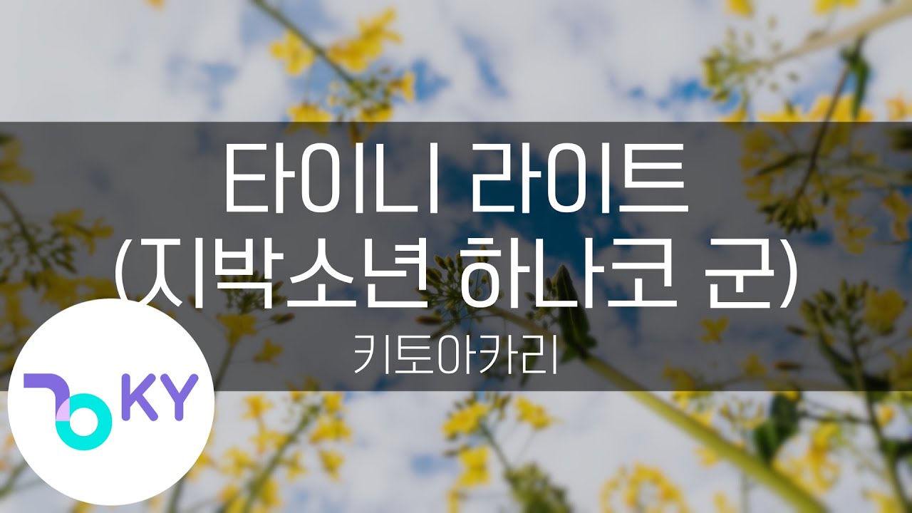타이니 라이트 