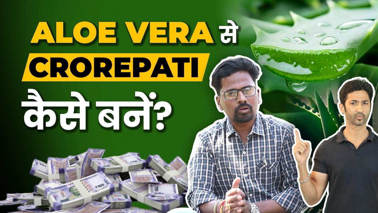 Aloe Vera Farming | प्रति एकड़ उन्नत खेती का पूरा प्लान जानें | Step-by-Step Guide in Hindi