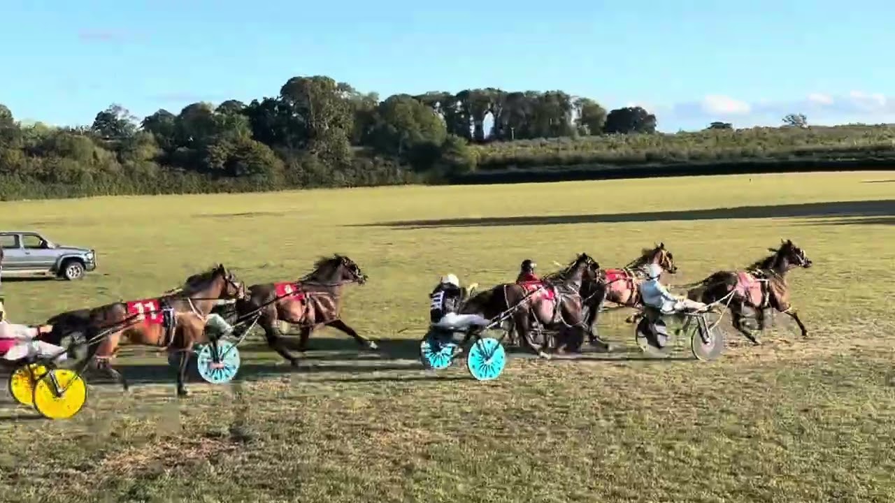 Open Final- Almeley (29th August) 2025