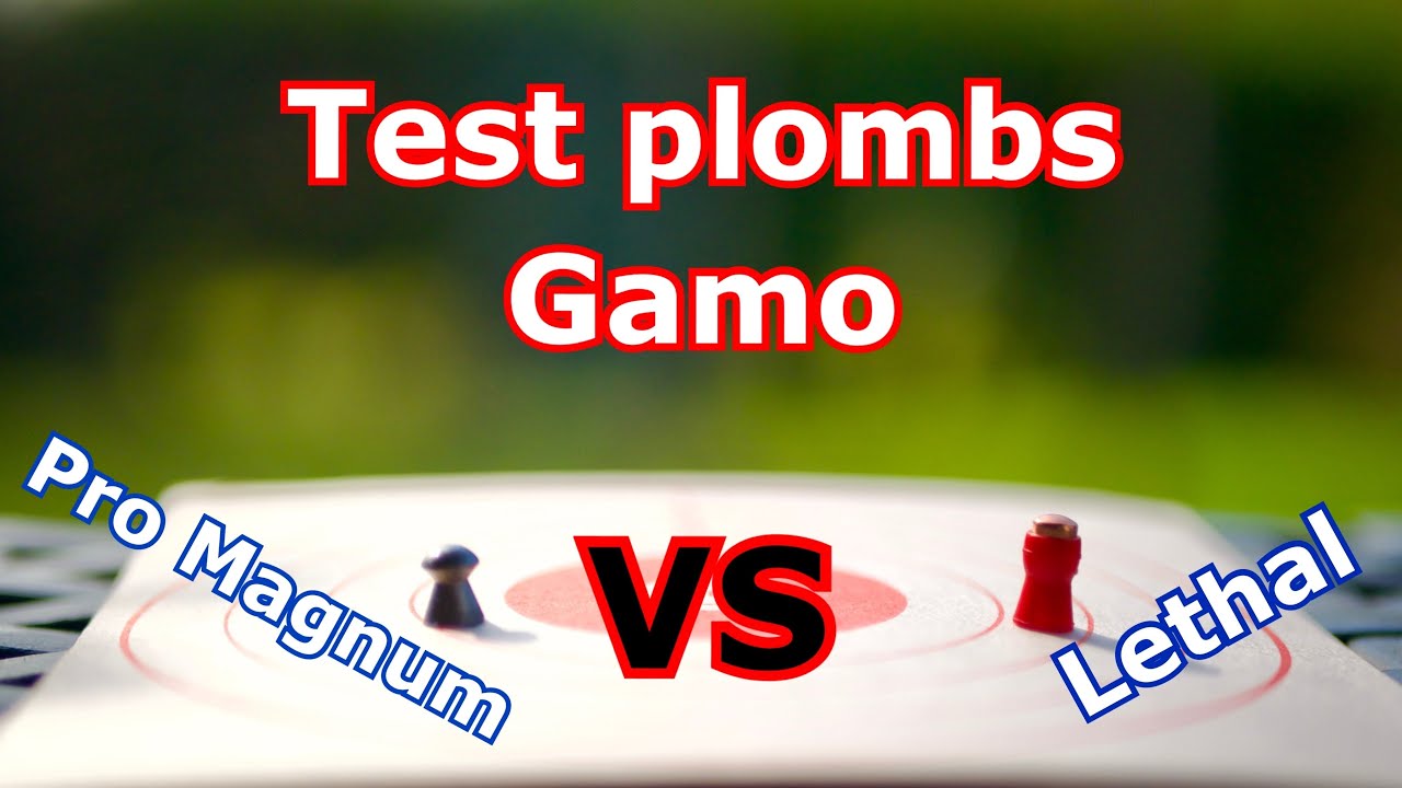 Gamo Pro Magnum VS Gamo Lethal , TEST qui tape le plus FORT ?